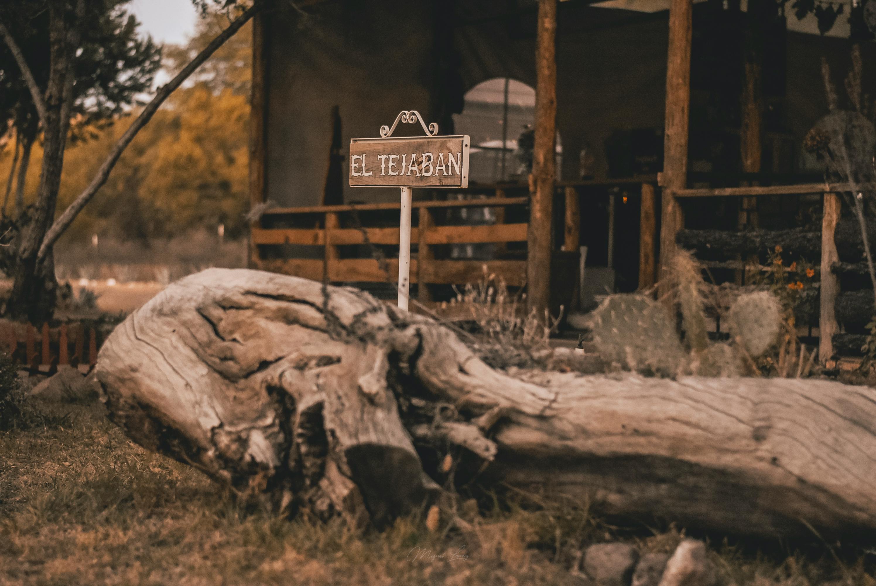 Can you live permanently in a log cabin?