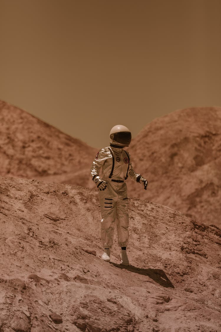 Astronaut Standing On Dry Ground