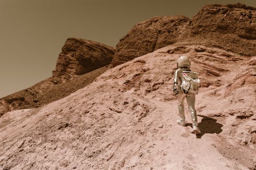 arkadan görünüm, astronot, çöl içeren Ücretsiz stok fotoğraf