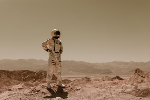 An Astronaut Standing in a Desolate Environment