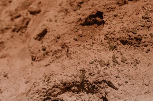 Free Brown Soil in Close Up Photography Stock Photo