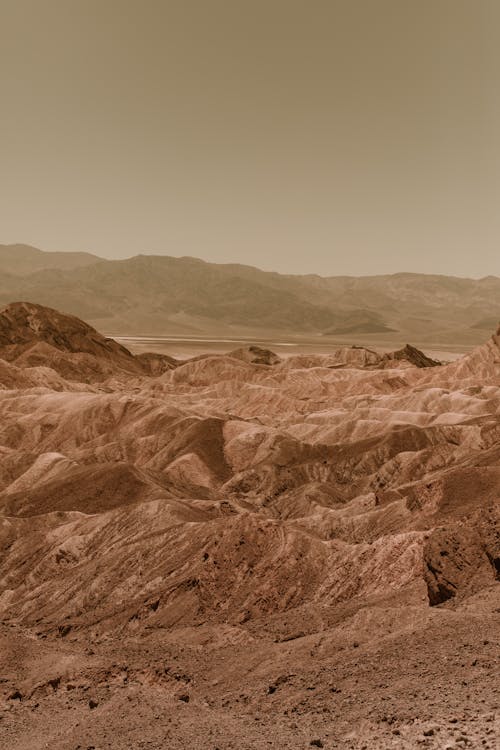 Foto d'estoc gratuïta de a l'aire lliure, cel clar, marró