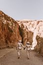 Backside of Astronauts Walking in a Planet