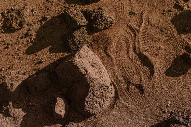 Shoe Marks On The Brown Sand 