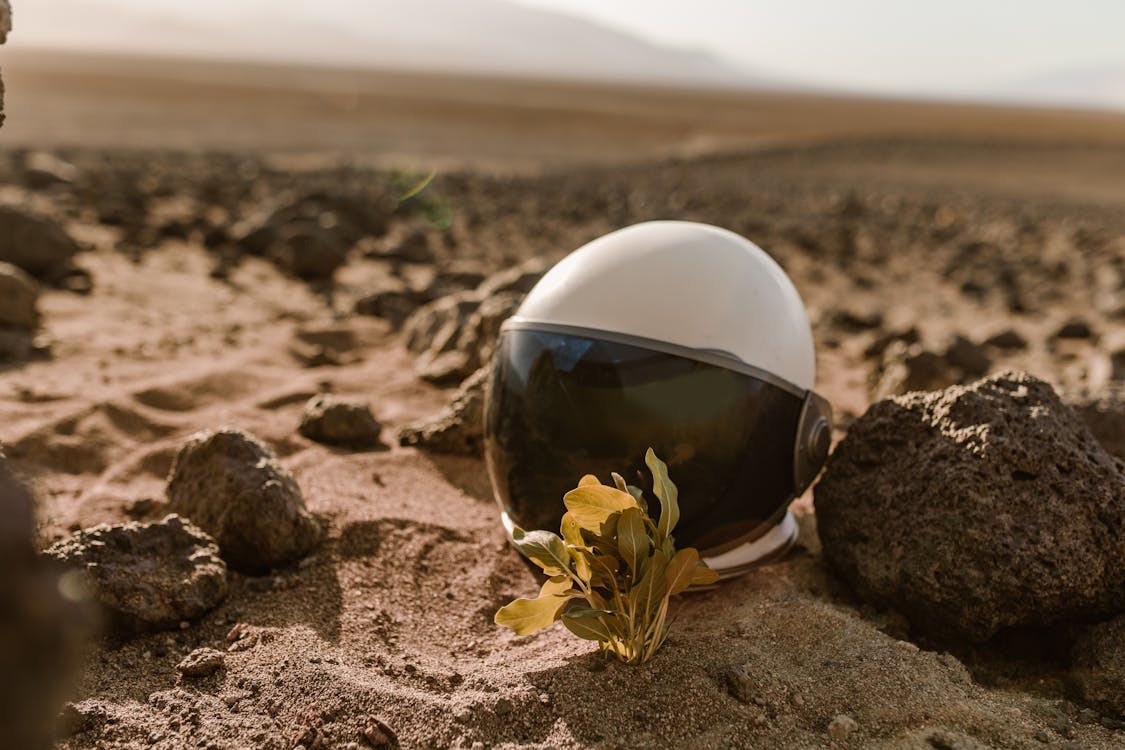 White and Black Ball on Brown Sand