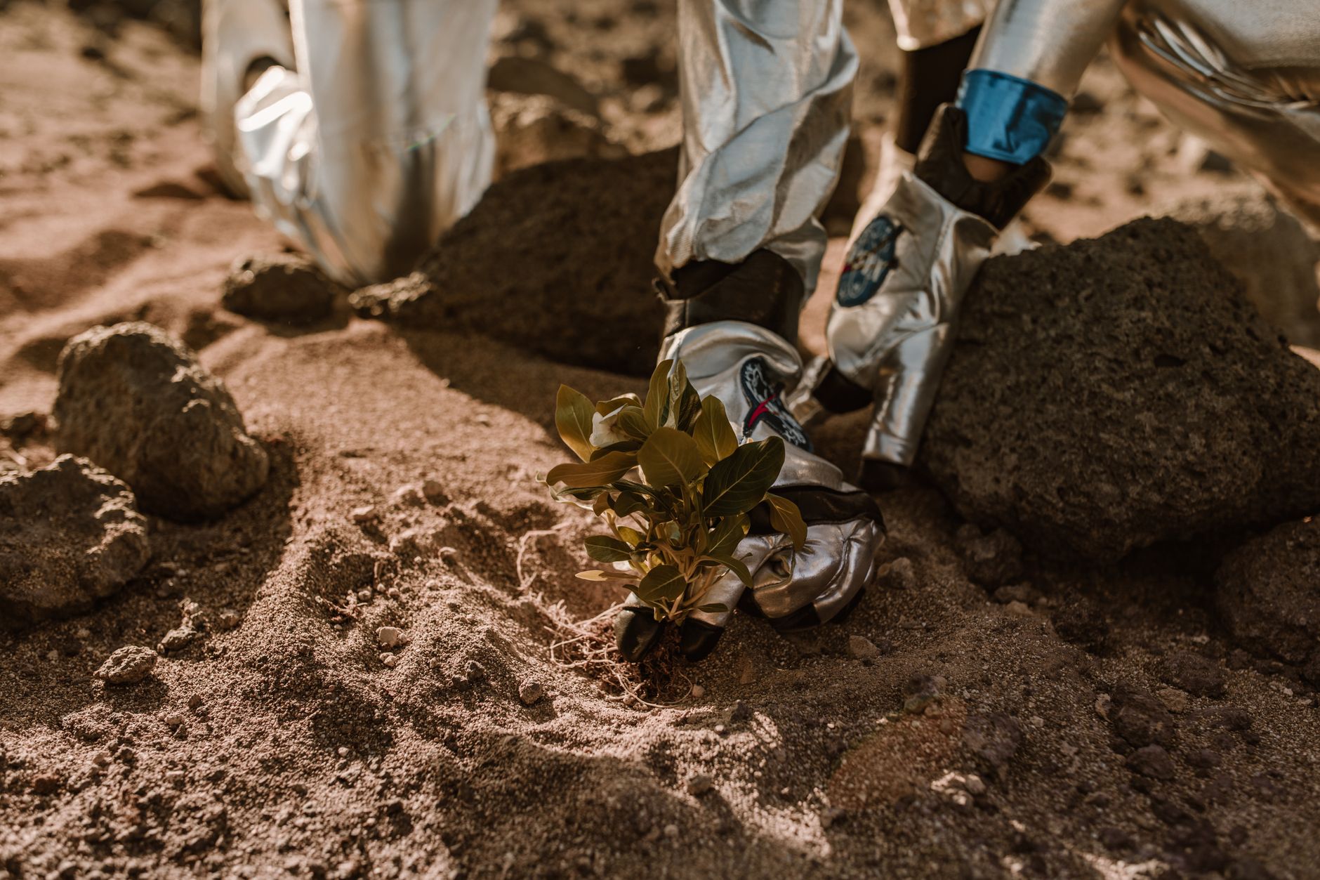Astronaut planting a small plant on rocky, sandy alien terrain in futuristic space suit.