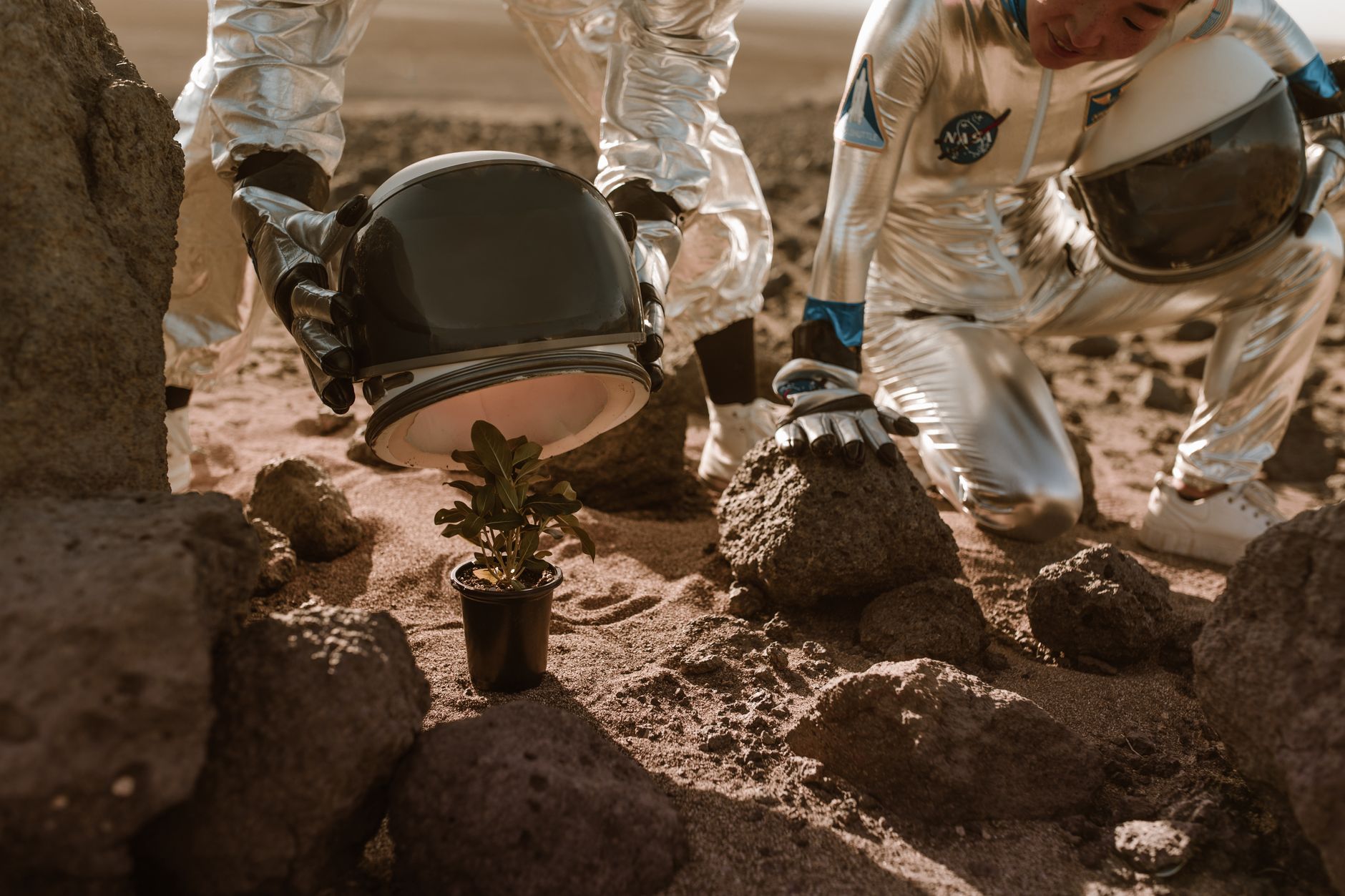 SpaceX IPO Plans: How Starship's Mars Mission Could Change the Company's Future