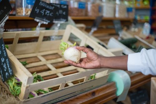 Free Close-up of a hand selecting a fresh turnip in a wooden crate at a Portuguese market. Stock Photo