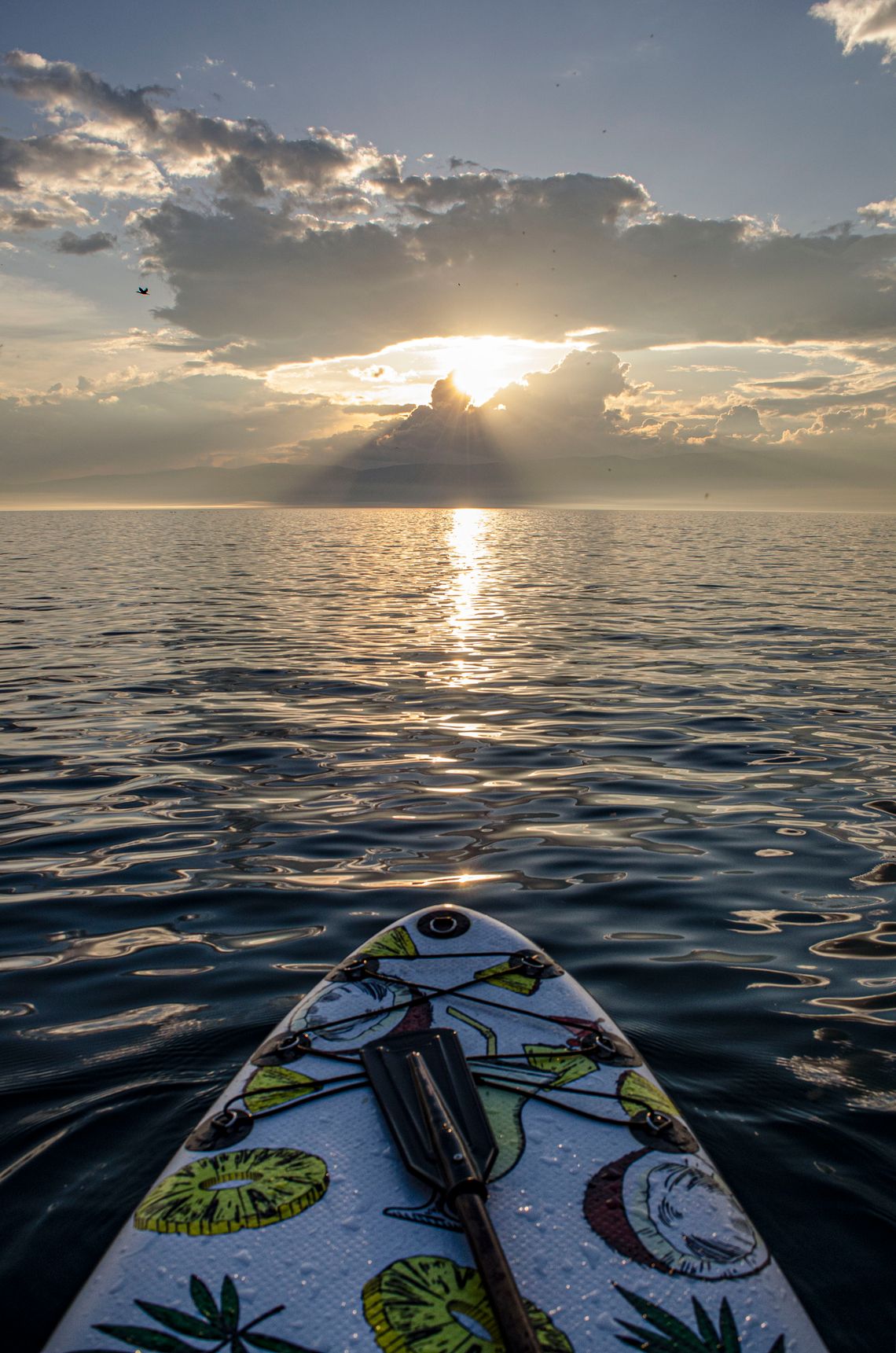 Paddle board floating on calm water at sunset