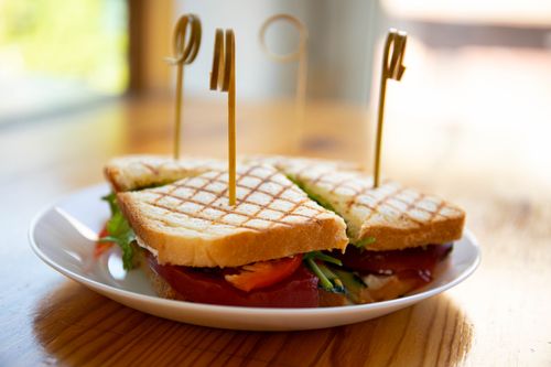 Free Close-up of a grilled sandwich cut into triangles with toothpicks on a plate. Stock Photo