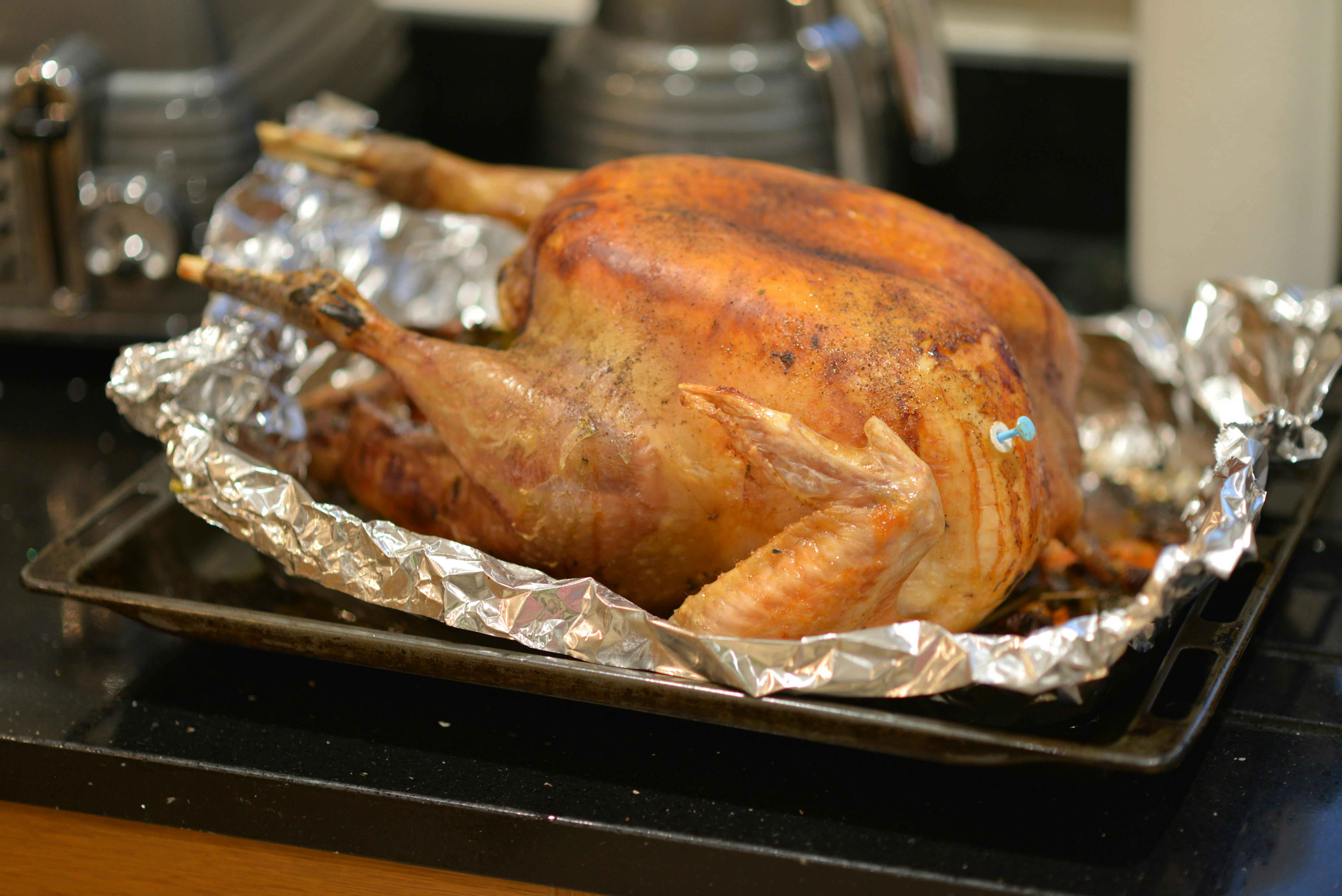 Free stock photo of Christmas turkey, cooking