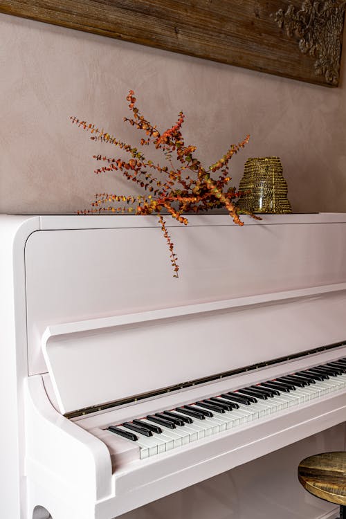 Free A White Piano Stock Photo