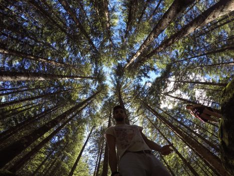 Men and women standing among tall trees in Val Masino, creating a stunning nature perspective.