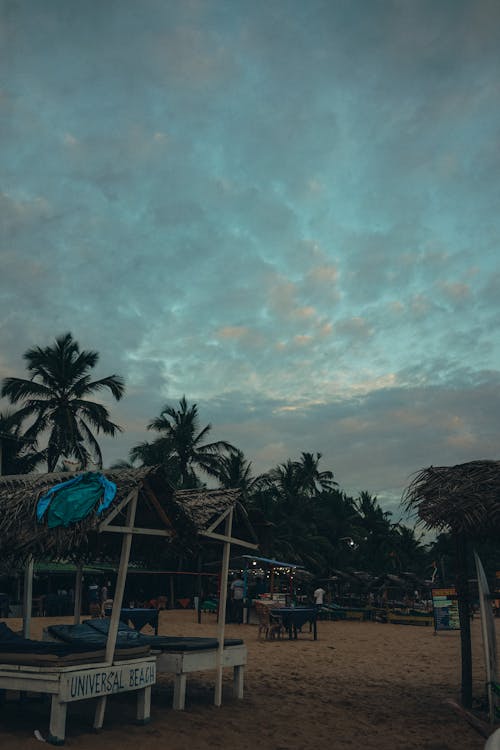Бесплатное стоковое фото с вертикальный выстрел, кокосовые пальмы, облака