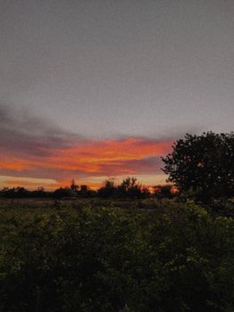 A stunning view of a sunset casting vibrant colors over a lush green field and trees.