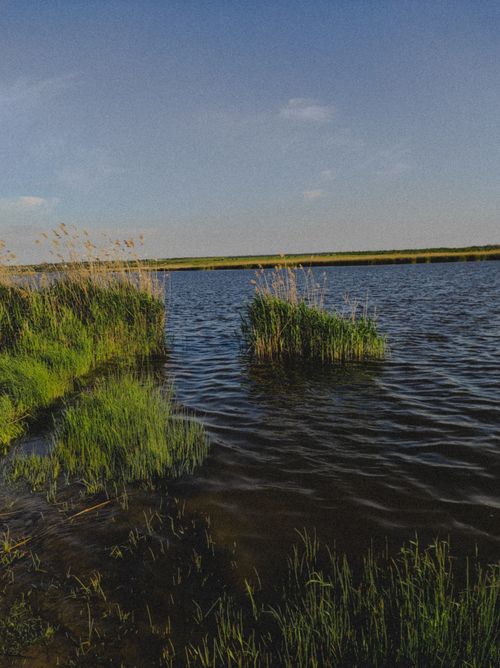 Free Beautiful lake scenery with rippling water and lush green grass, under a clear sky. Stock Photo