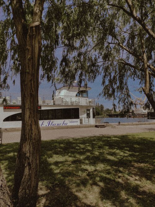 Free Cruise ship docked at a seaside harbor with trees providing shade. Perfect travel getaway. Stock Photo
