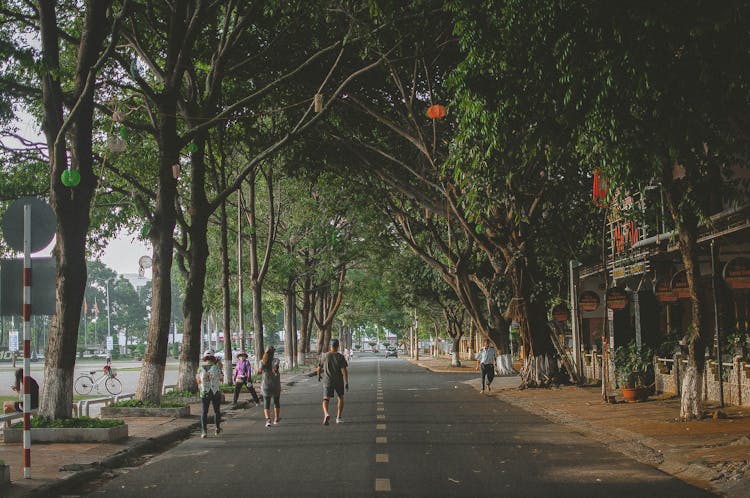 People Walking On Road Near Trees