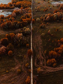 A stunning aerial view capturing the vibrant autumn colors of trees lining a countryside path.