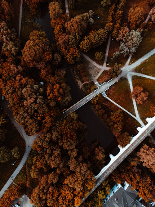 Ingyenes stockfotó drónfelvétel, fák, folyó témában