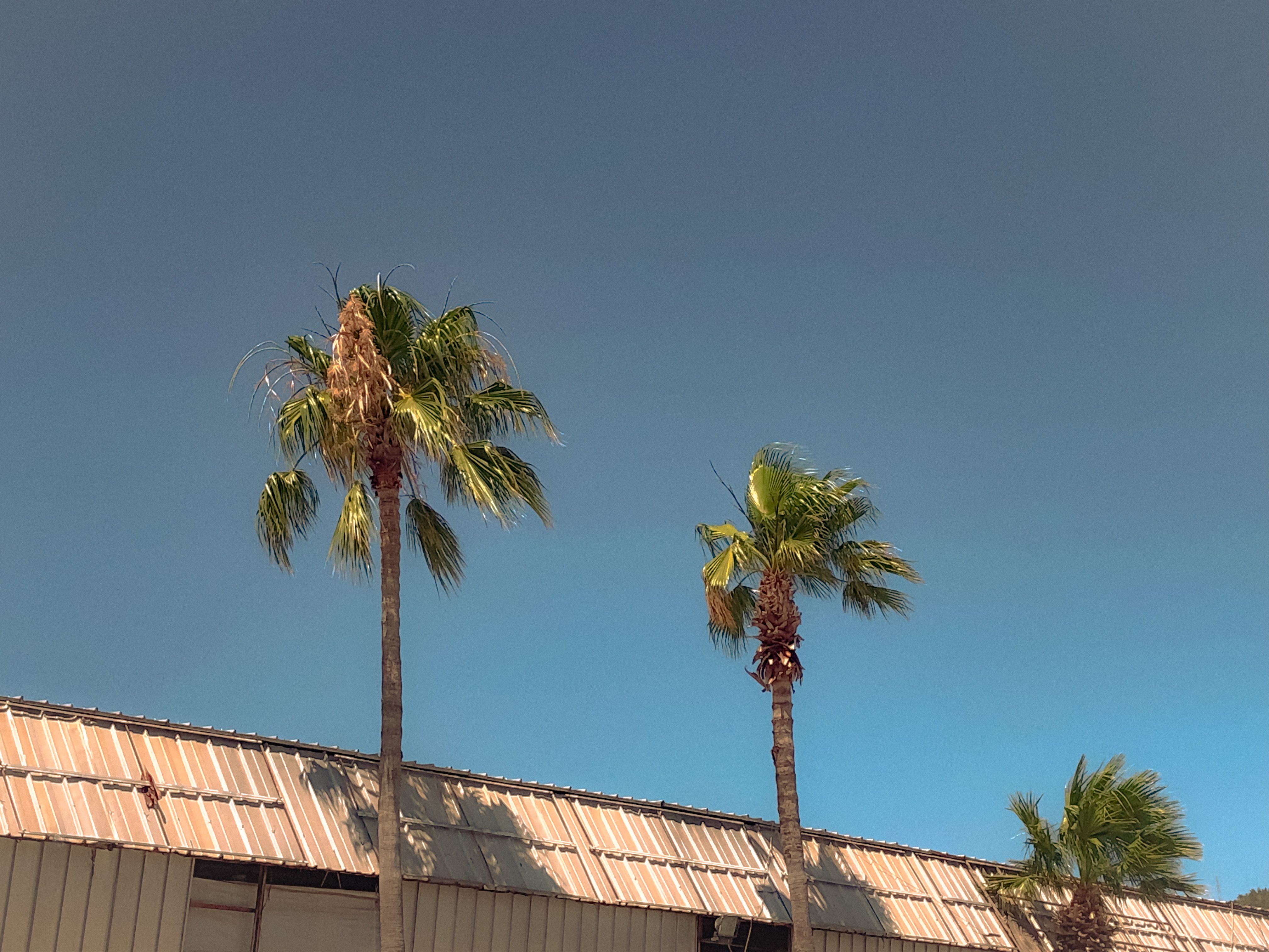 roofing companies in panama city florida