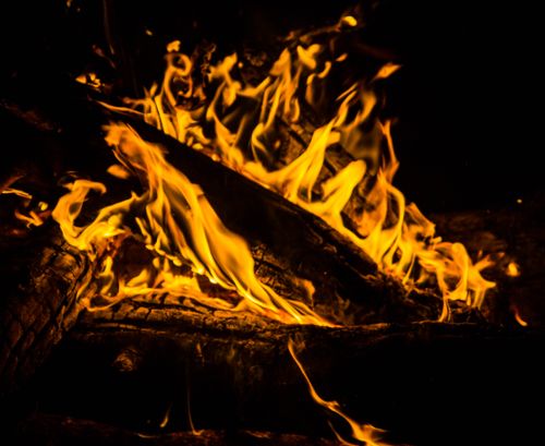 Free A detailed close-up image of a blazing campfire with intense orange and yellow flames engulfing logs. Stock Photo