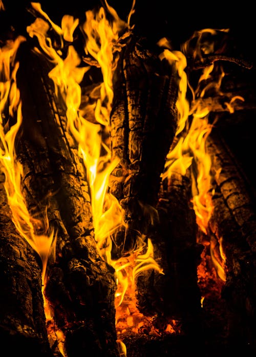 Gratis Foto stok gratis api unggun, kayu bakar, merapatkan Foto Stok
