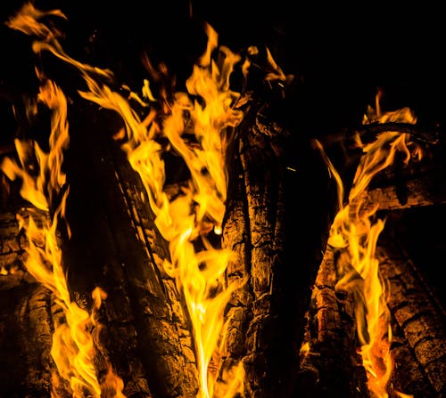 Burning Woods in Close-up Photography