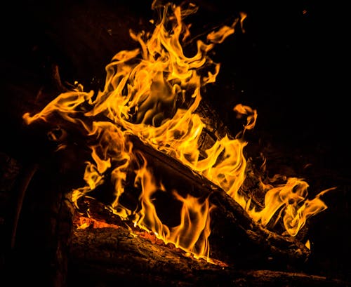 Close-up Photo of Burning Firewood