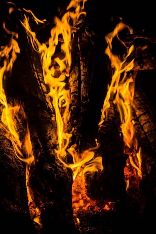 Close-Up of a a Campfire 