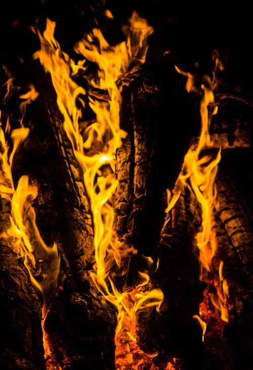 Fotos de stock gratuitas de fondo negro, fuego, fuego incontrolado