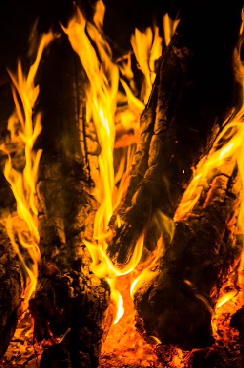 Close-up Photo of Firewood Burning