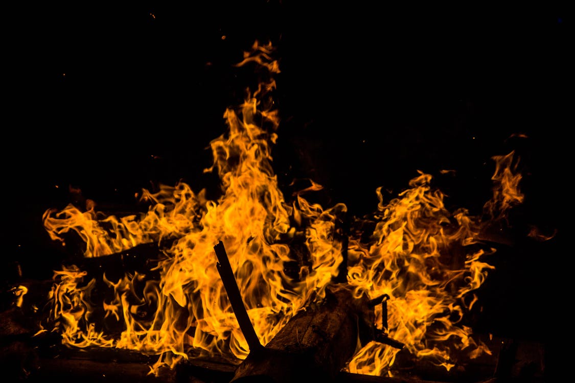 Fire on Brown Wooden Log during Nighttime · Free Stock Photo