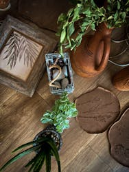 How Often Should You Groom Your Dog?