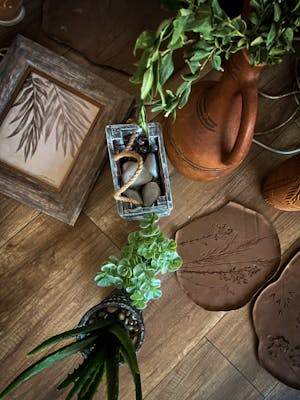 How Often Should You Groom Your Dog?