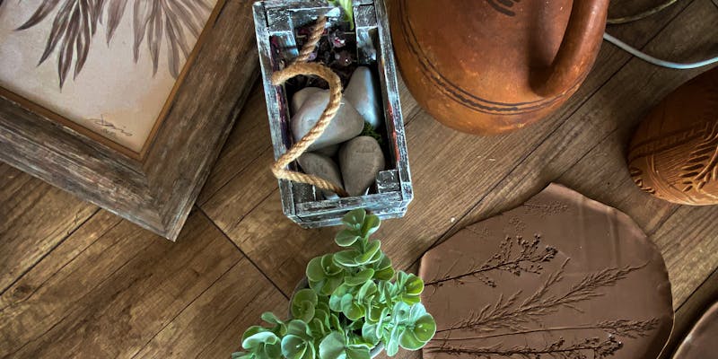 How Often Should You Groom Your Dog?