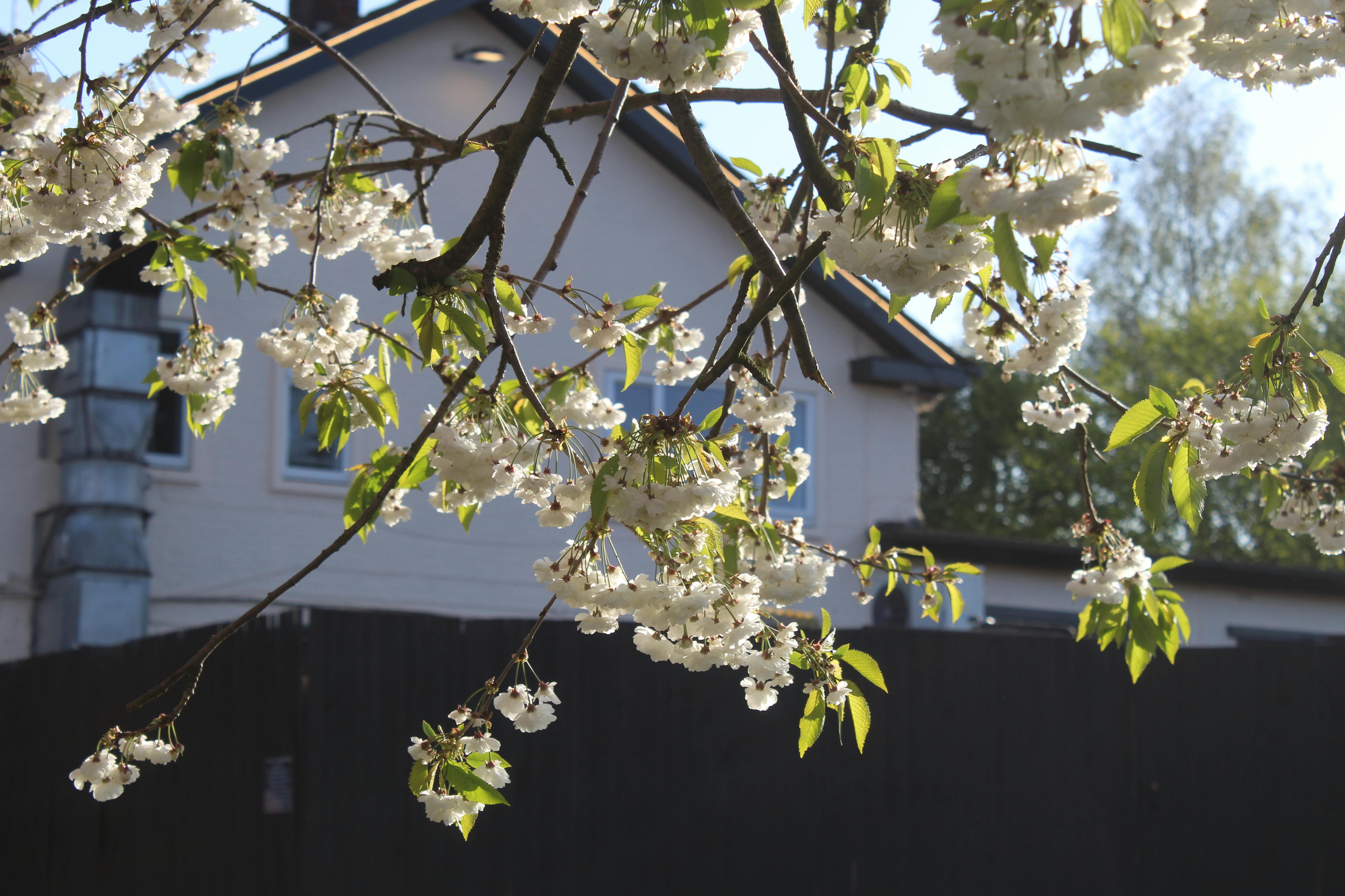 Federal Solar Tax Credit 2025: Claim Your 30% ITC Before Dec 31 Deadline