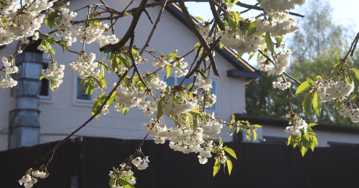 Northeast Solar Guide: NY, MA, CT, NH, ME, VT