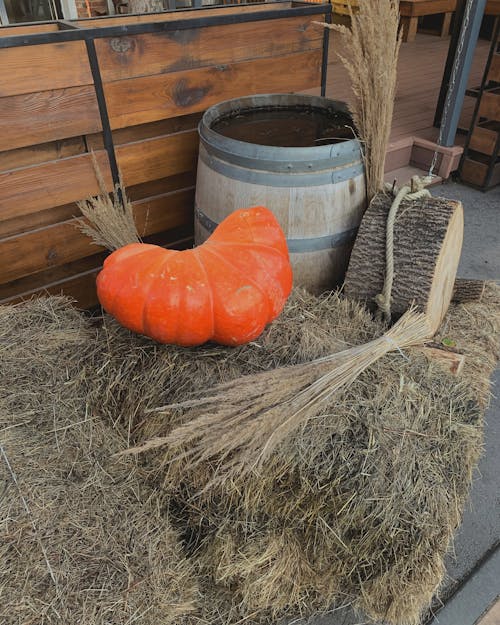Sliced Pumpkin on Hay