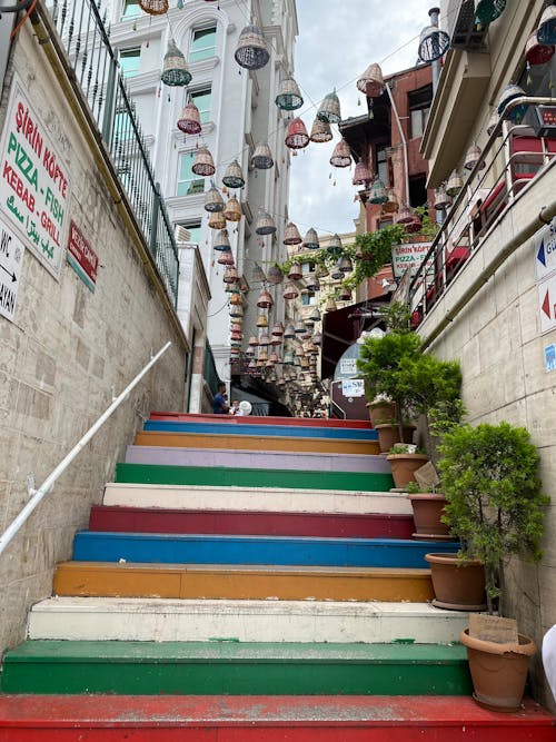 Green Potted Plants on Colorful Concrete Stairs