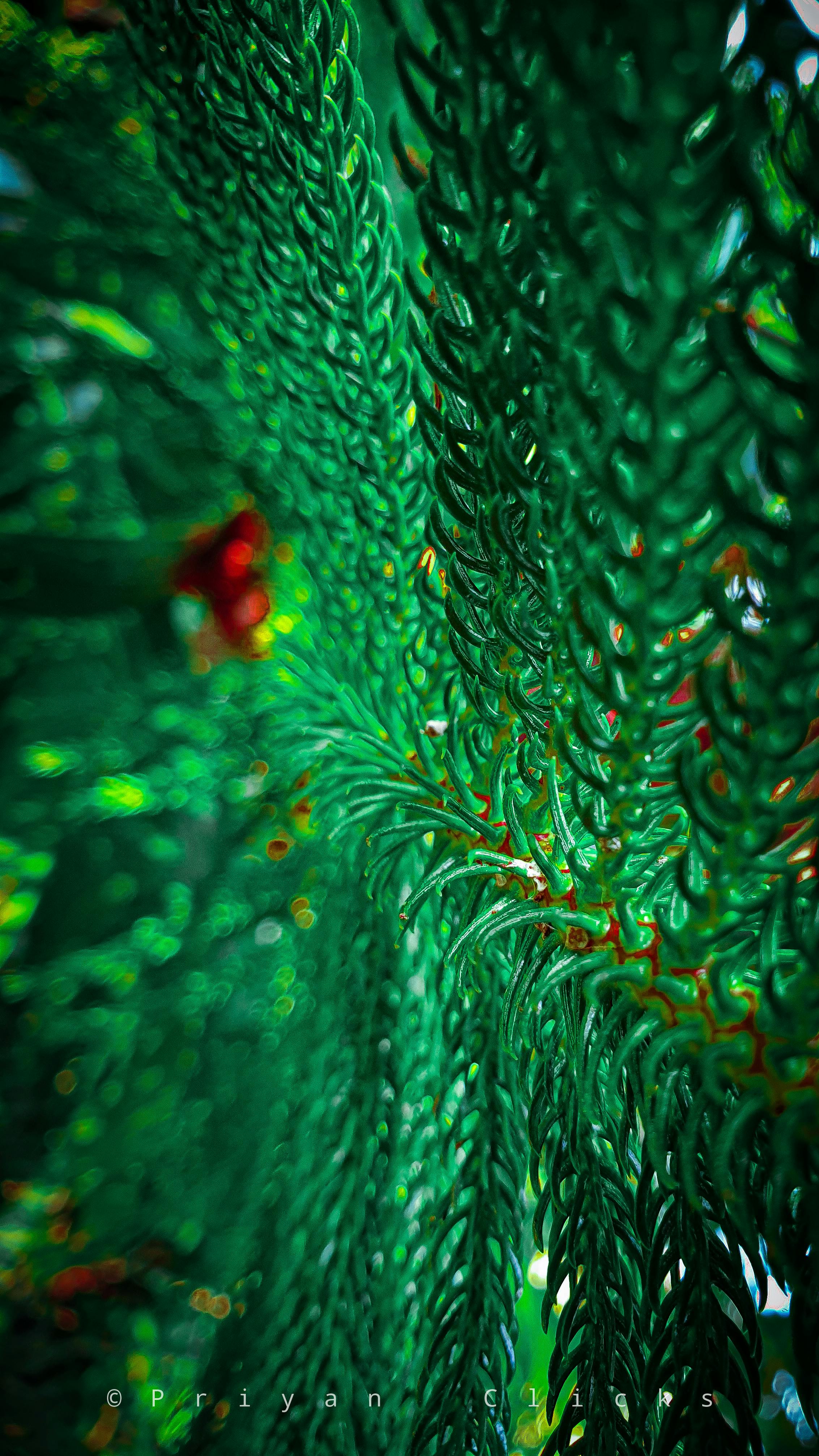 A skilled craftsman carefully working on a home project