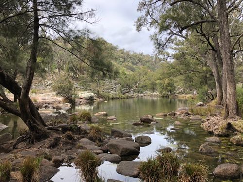 Free Tranquil creek surrounded by lush forest in Green Valley, Australia. Stock Photo