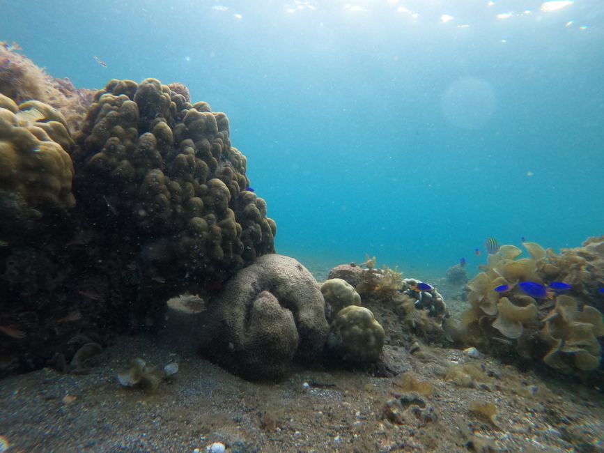 Tourists scuba diving in clear waters of Palawan, Philippines
