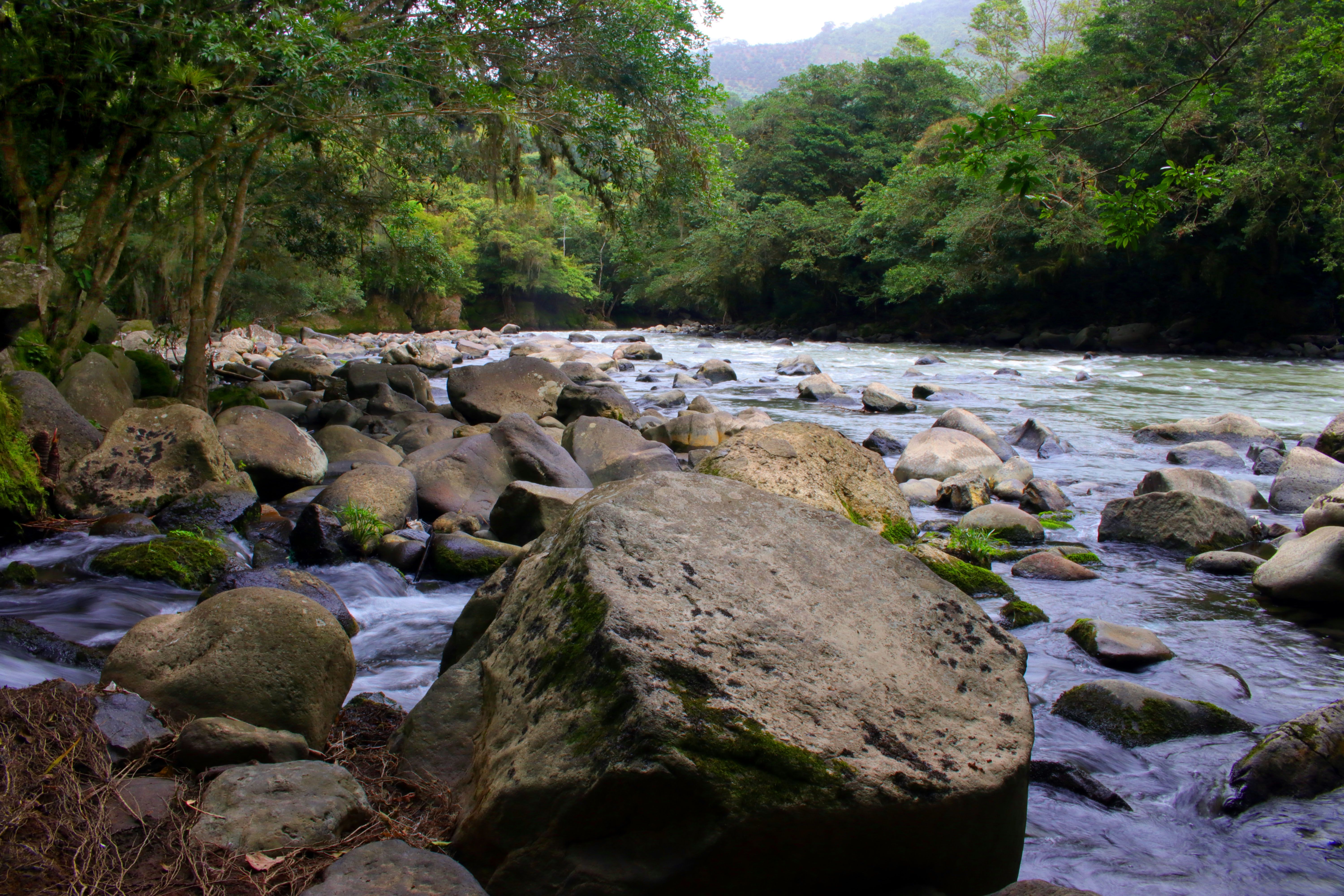 Free stock photo of landscape, nature, riverstone