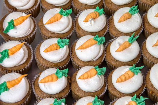 Carrot Muffin