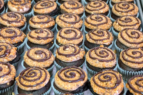 Chocolate Cupcakes in Rows
