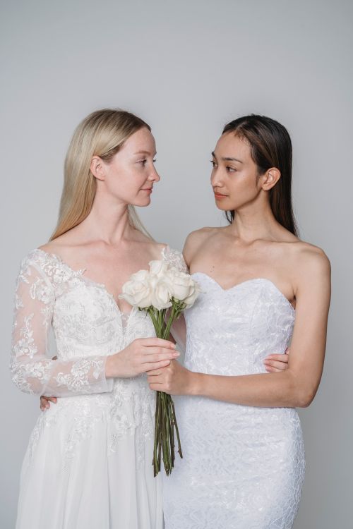Free Two brides in wedding dresses share a tender moment with white roses in a studio setting. Stock Photo
