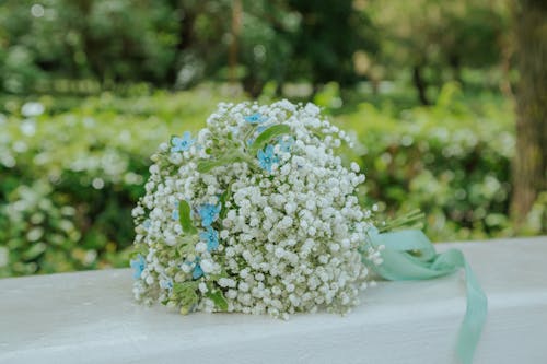 açık hava, Beyaz çiçekler, buket içeren Ücretsiz stok fotoğraf