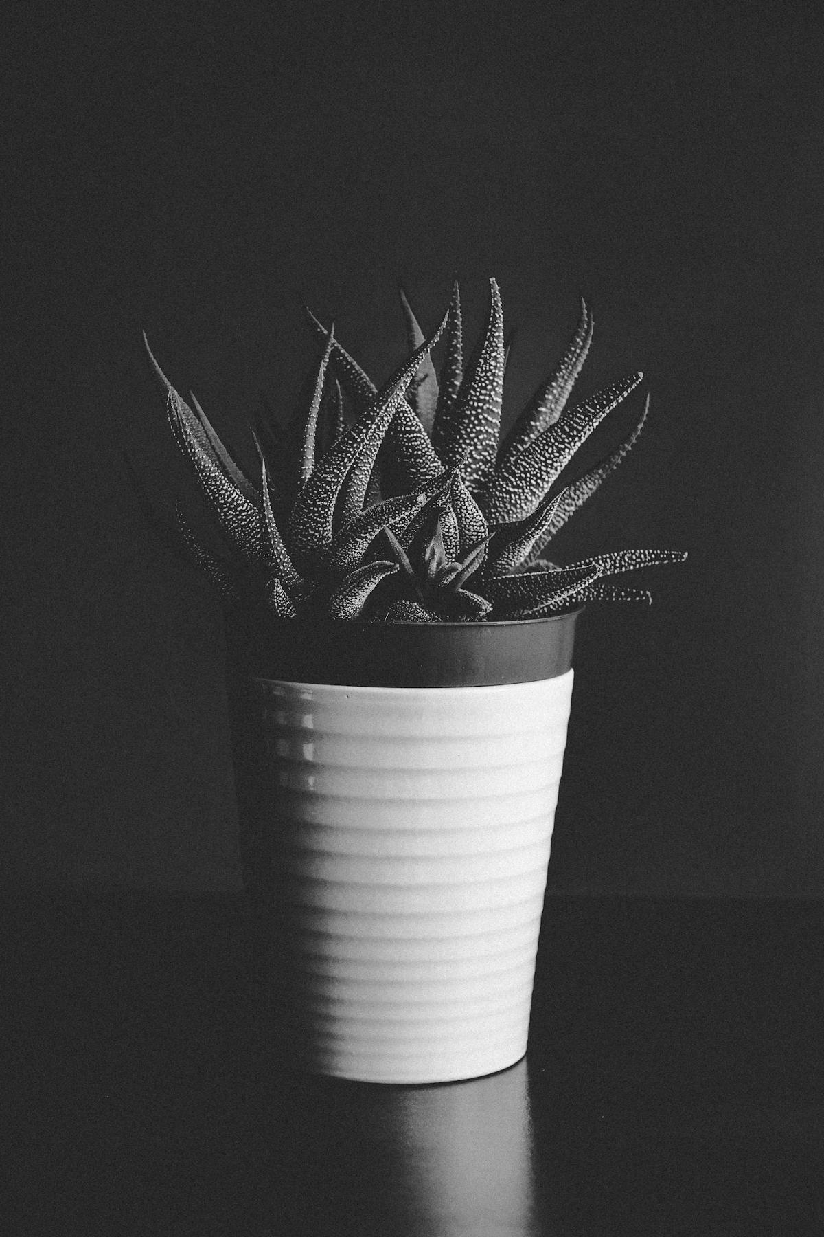 Pest control team at work