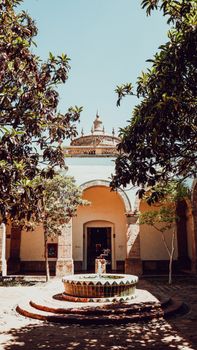 Charming courtyard view at Instituto Cultural Cabañas, Guadalajara, showcasing traditional Mexican architecture and foliage.